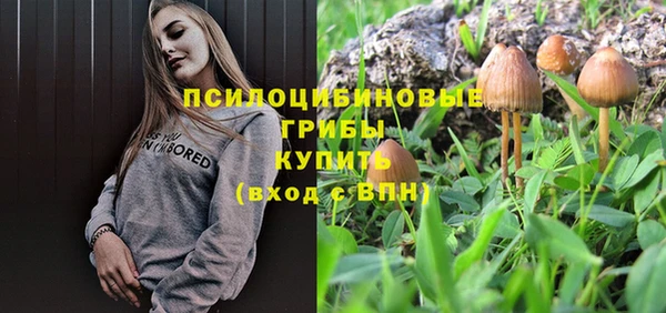 прущие крисы Вязьма