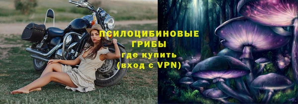 прущие крисы Вязьма